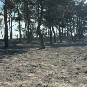 saricaelinde yangin delilleri dronla incelendi BM9LaNAC