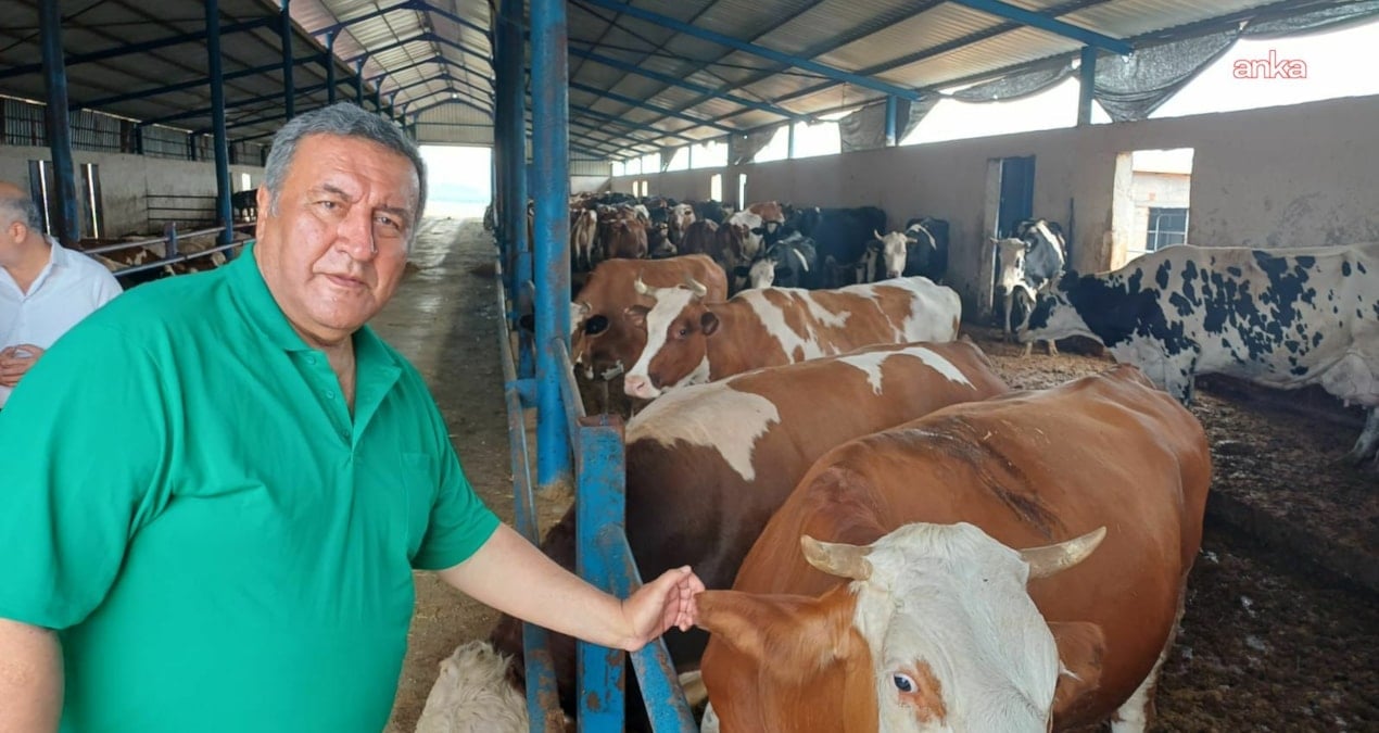 gurer et fiyatlarina isyan etti uretici degil ithalat kazaniyor qaFAMOsO.jpg