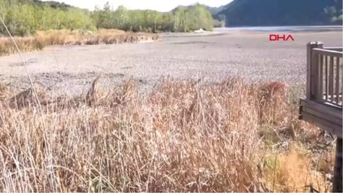 suyu cekilince ikiye bolunen egirdir golu hayvanlarin otlagi oldu jHEJmJPW.jpg