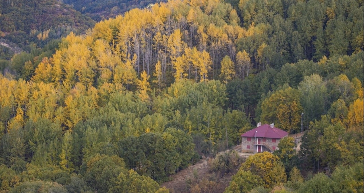 tuncelinin zirvelerindeki ormanlar guz renklerine burundu WESQrzZi.jpg