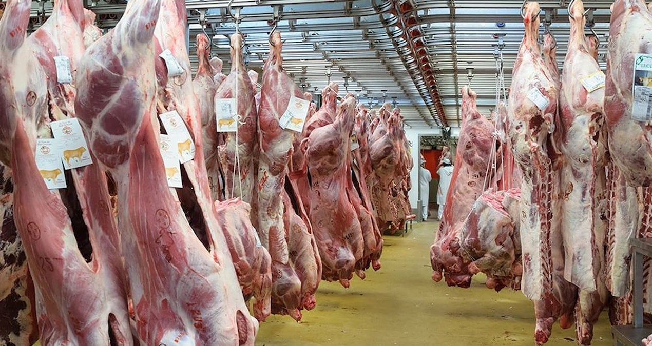 avrupanin 100 yillik et tedarikcisi iflas etti spsjCYEG.jpg