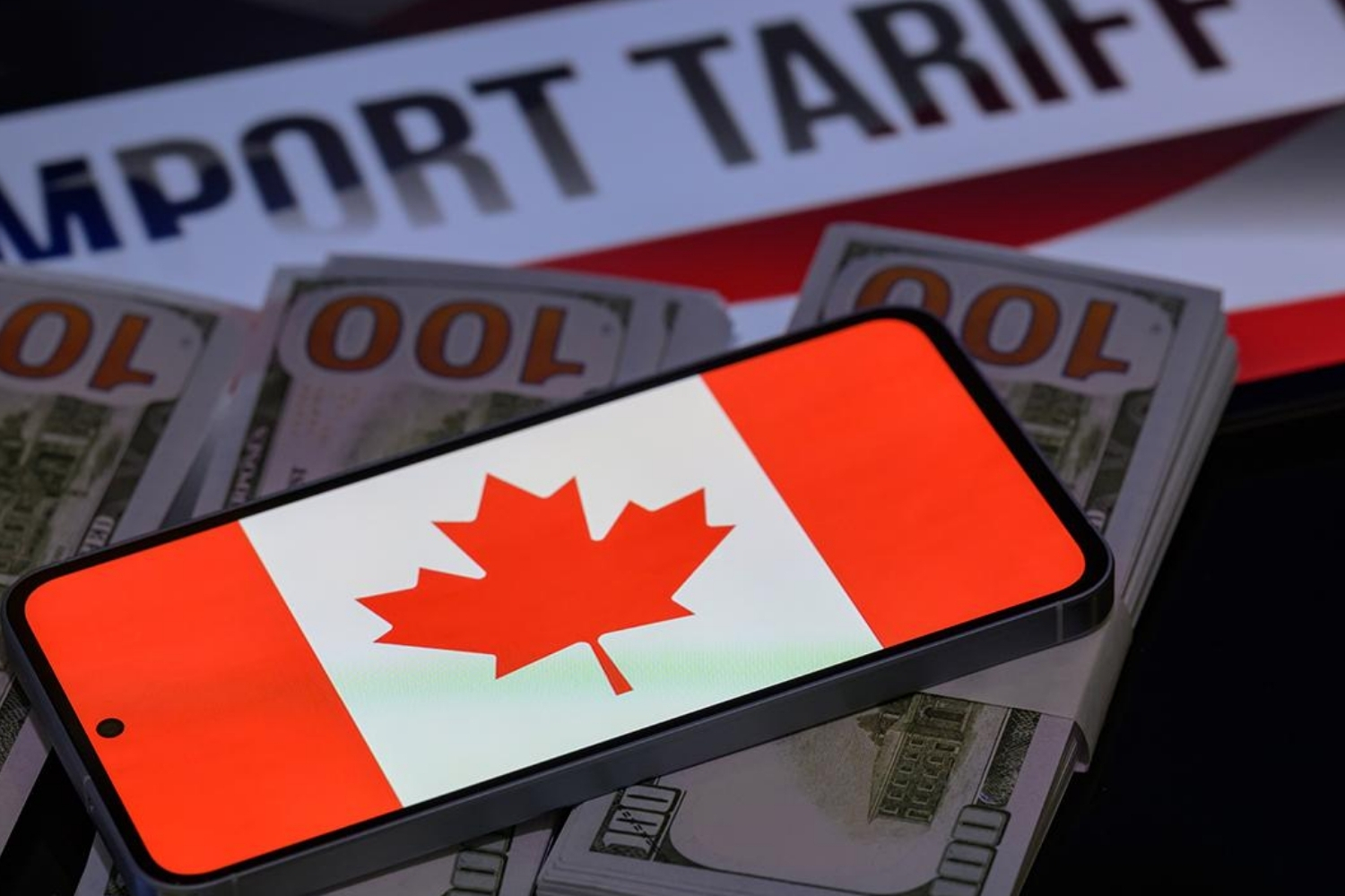 kanada abdnin tarifeleriyle mucadelede 141 milyar dolarlik harcamayi ongoren butce tasarisi sundu S3EziKgB.jpg