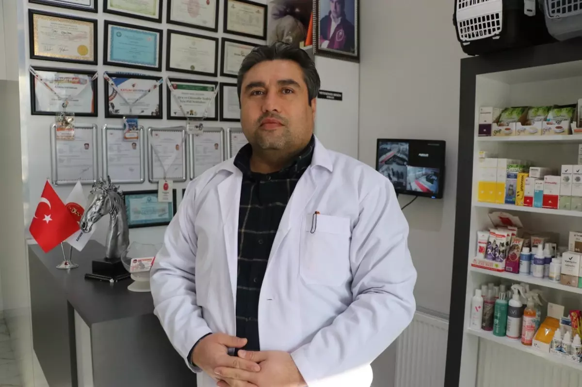 Tavuklar Türk Sanat Müziği ile Daha Verimli