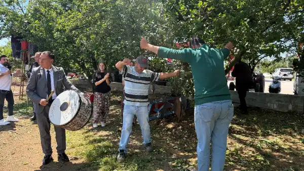 rekolte-4-kat-artinca-hasat-davul-zurna-ile-yapildi-PEZSLXfa